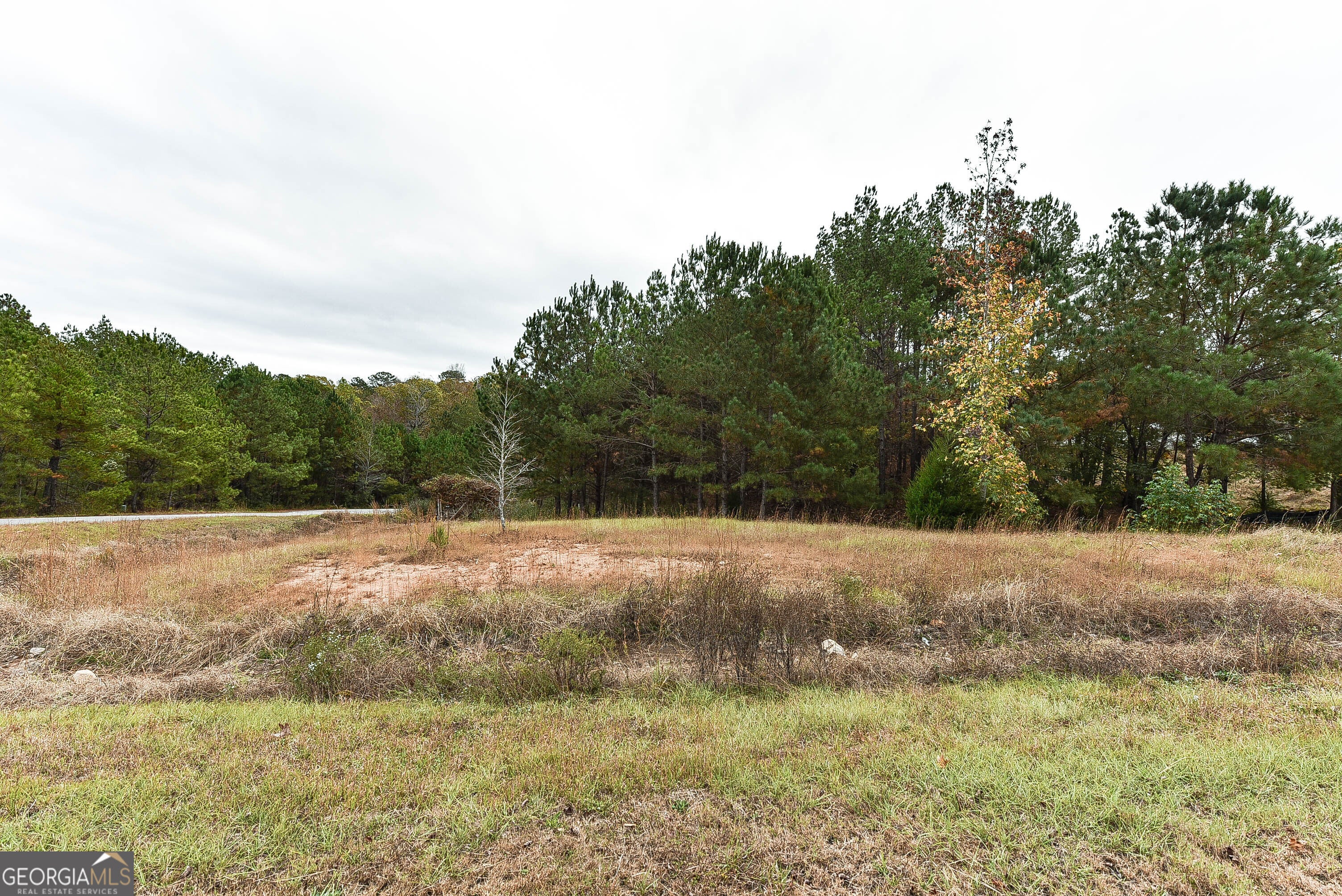 Photo of Listing #10648764