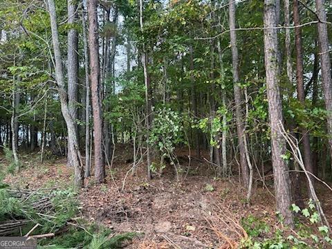 21 Skyline Drive, Braswell