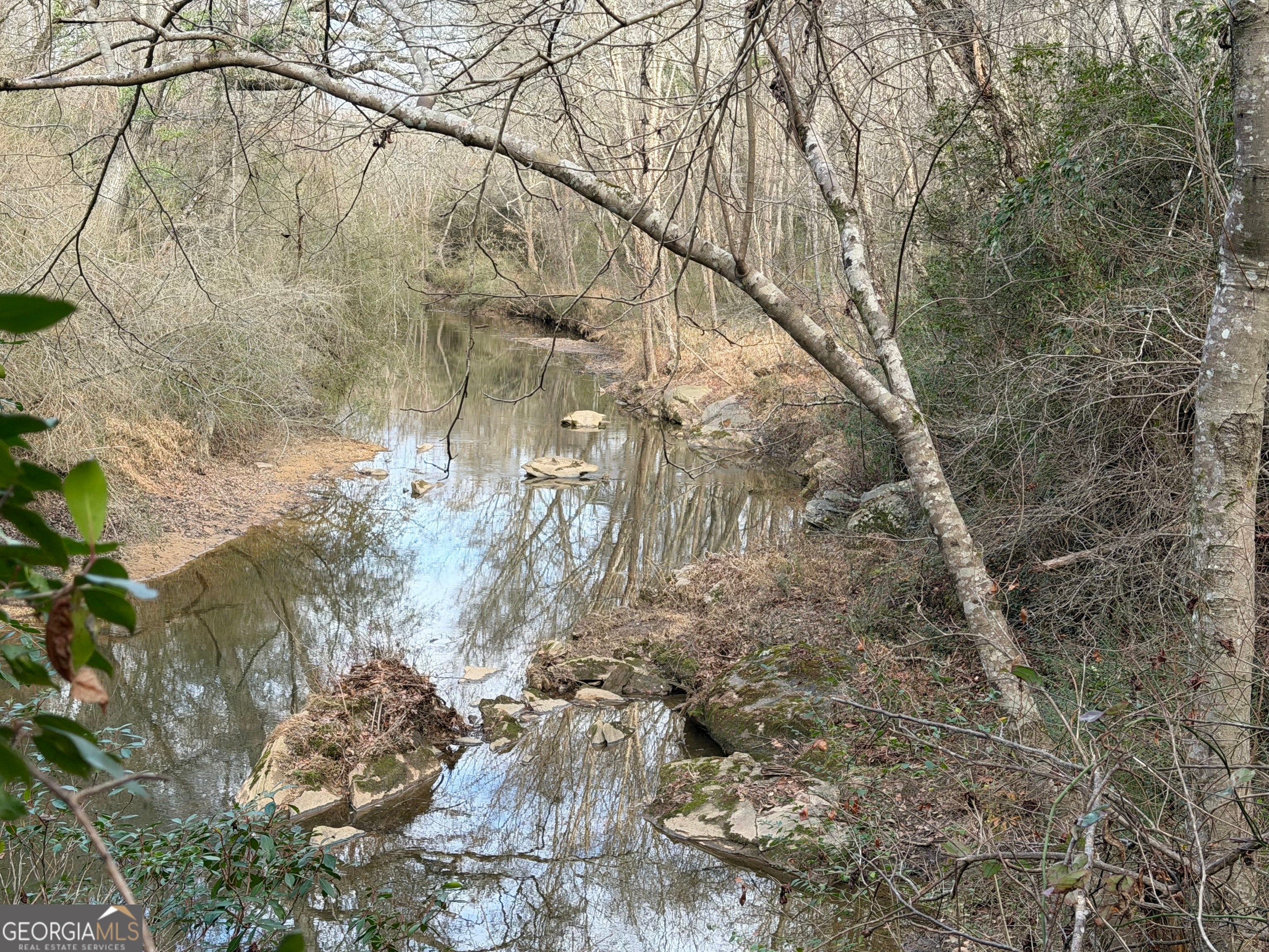 Photo of Listing #10661399