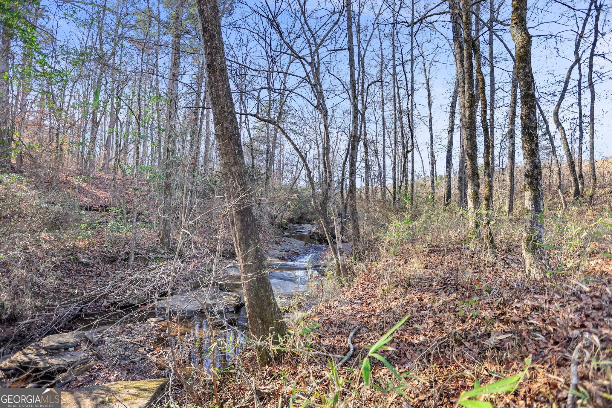 Photo of Listing #10667480