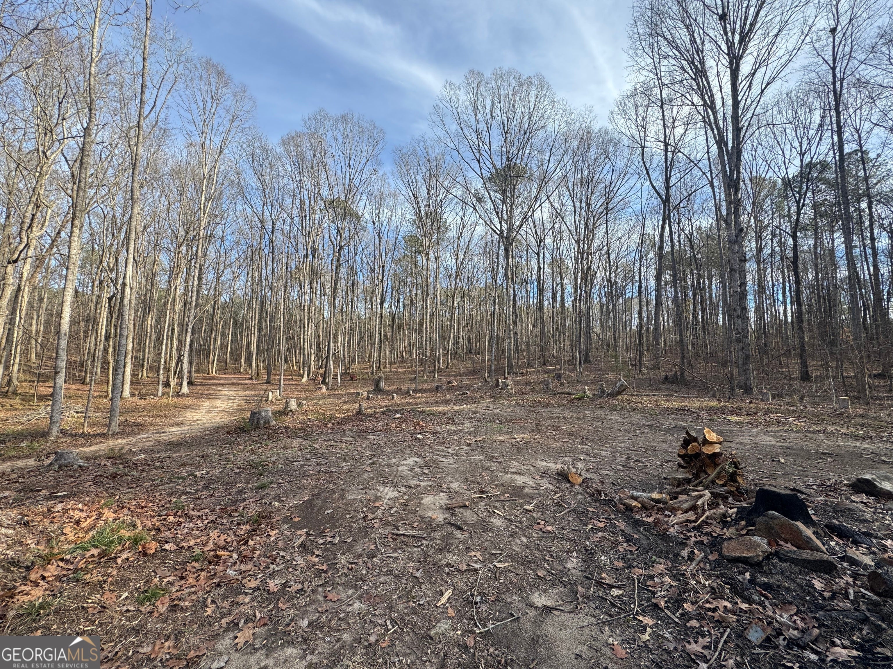 Photo of Listing #10674249