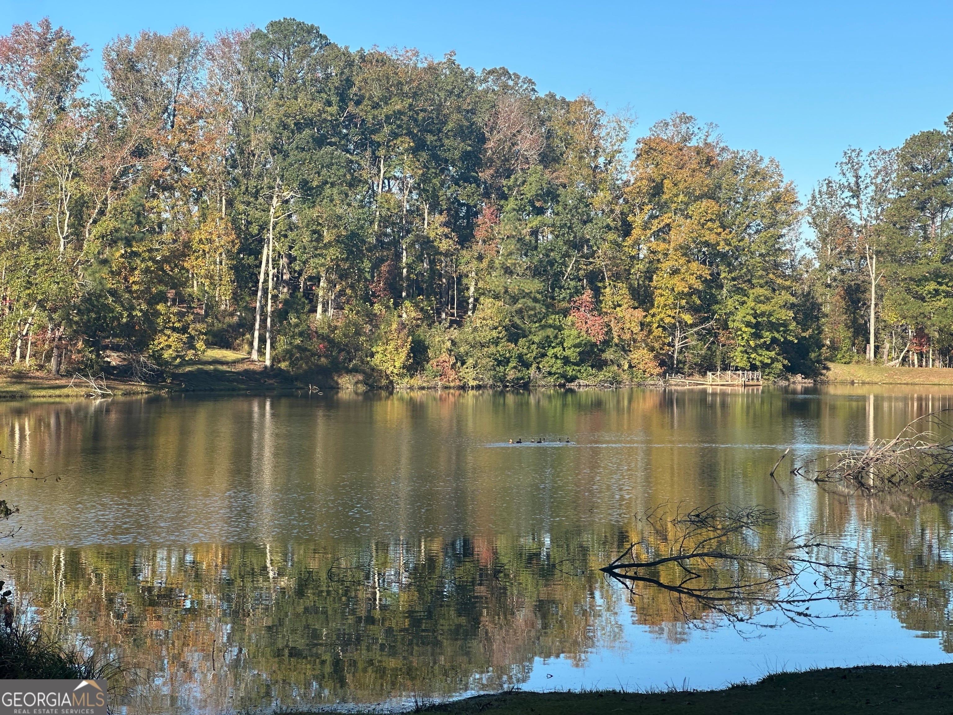 Photo of Listing #10674407