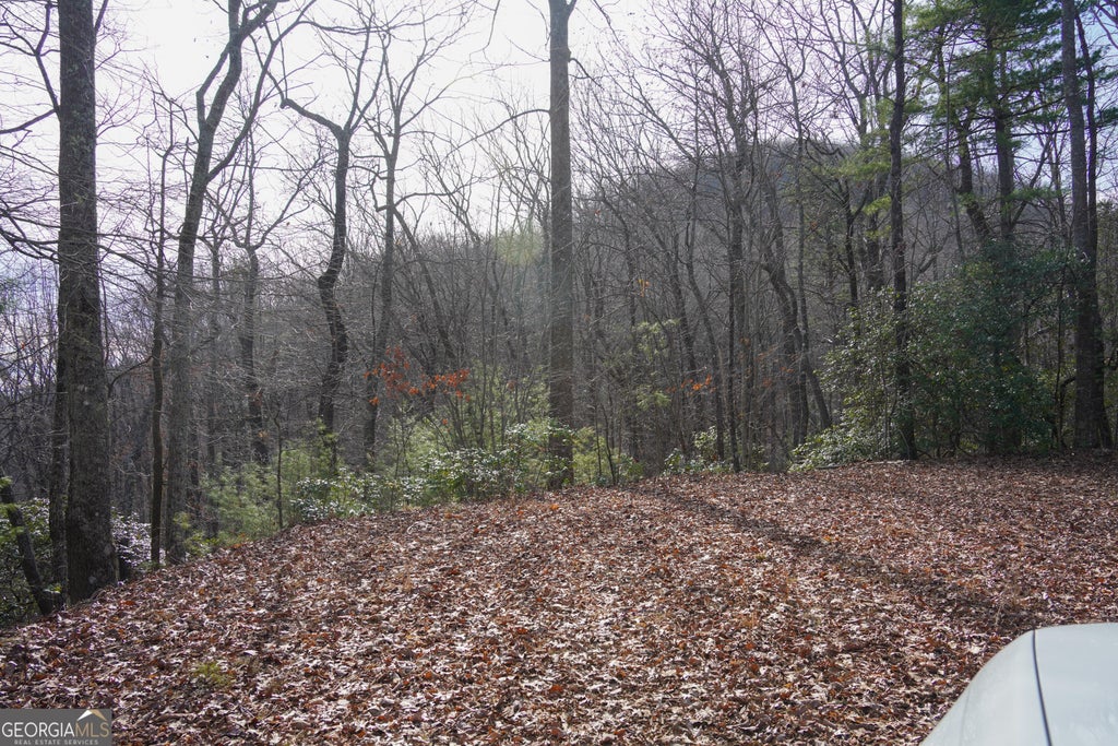 High Holly 3hh, Tiger