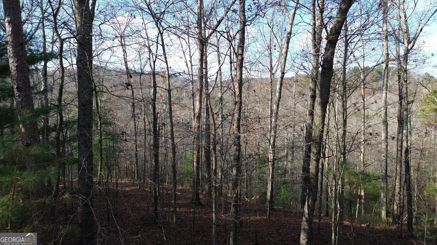 Photo of Listing #10679534