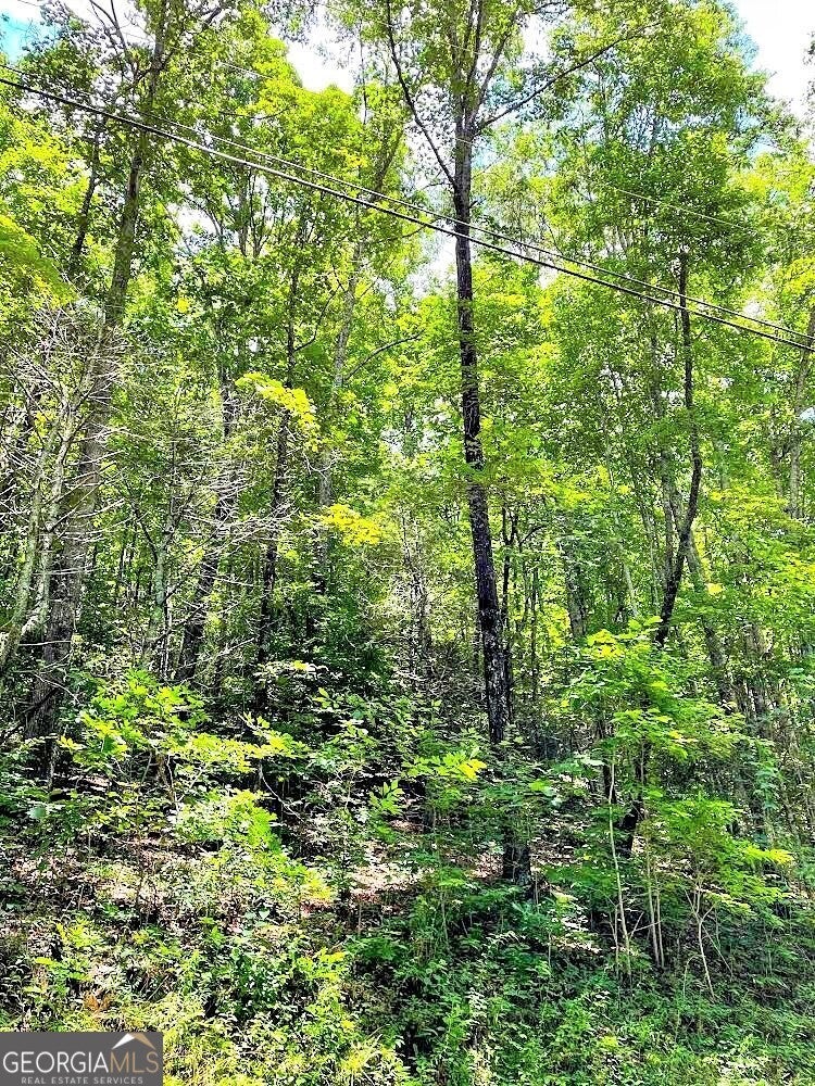 Blue Ridge Gap Road, Rabun Gap