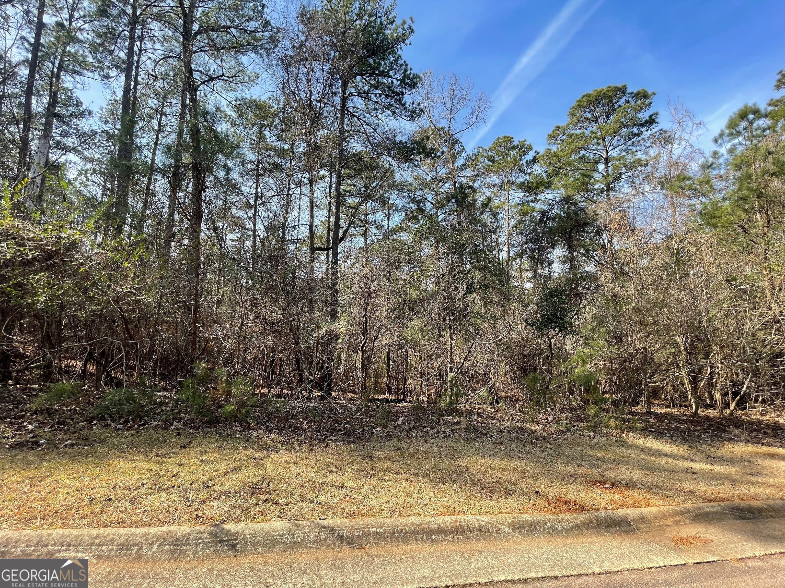 Photo of Listing #10682543