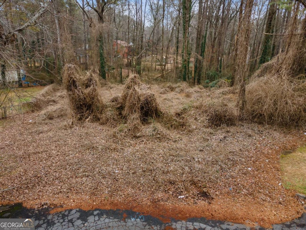 4593 Battle Court Ne, Kennesaw