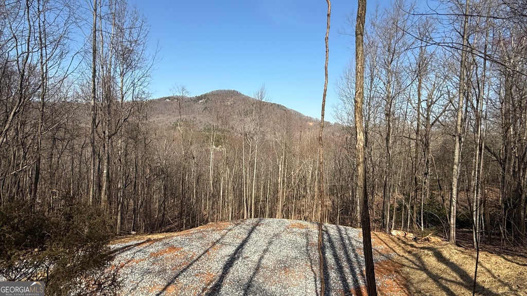 Lot 17 Chalet, Sautee Nacoochee