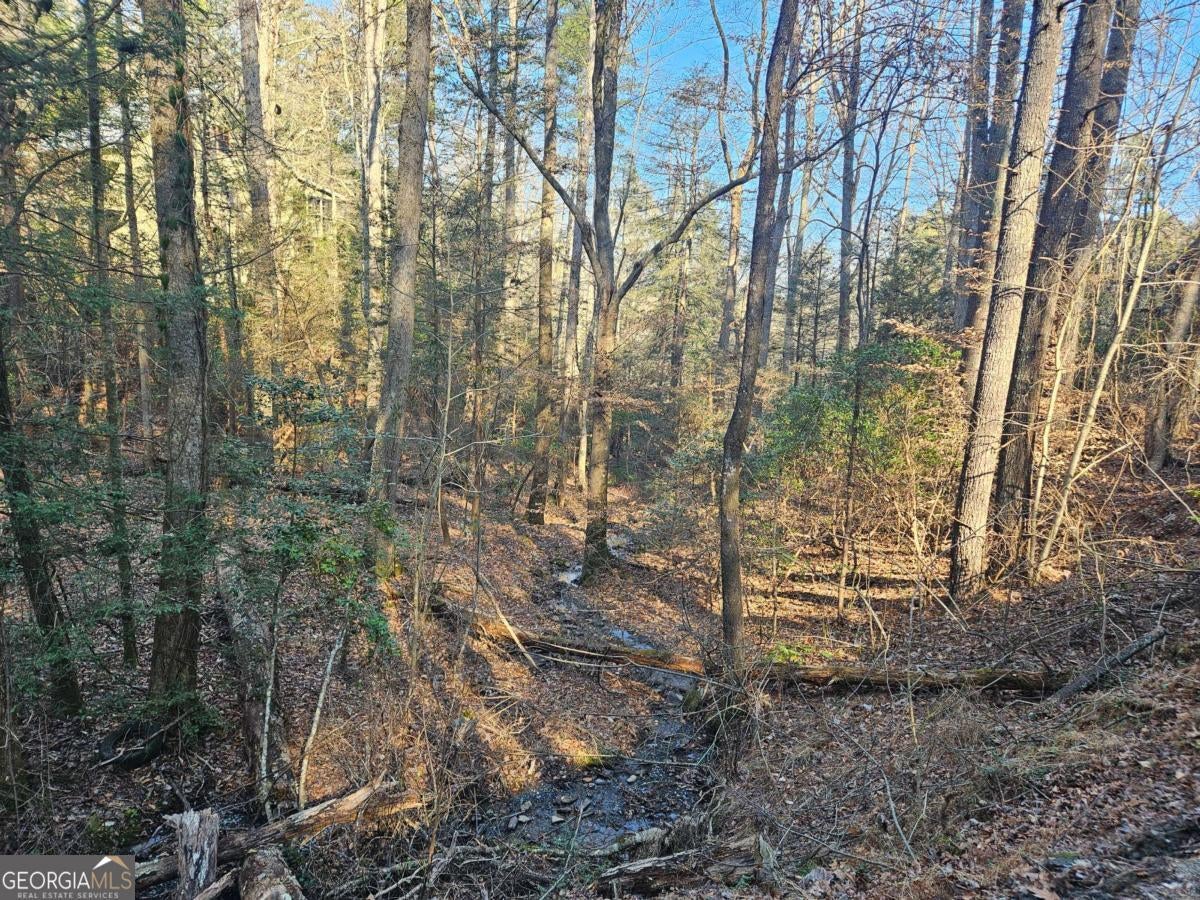 Photo of Listing #10688709