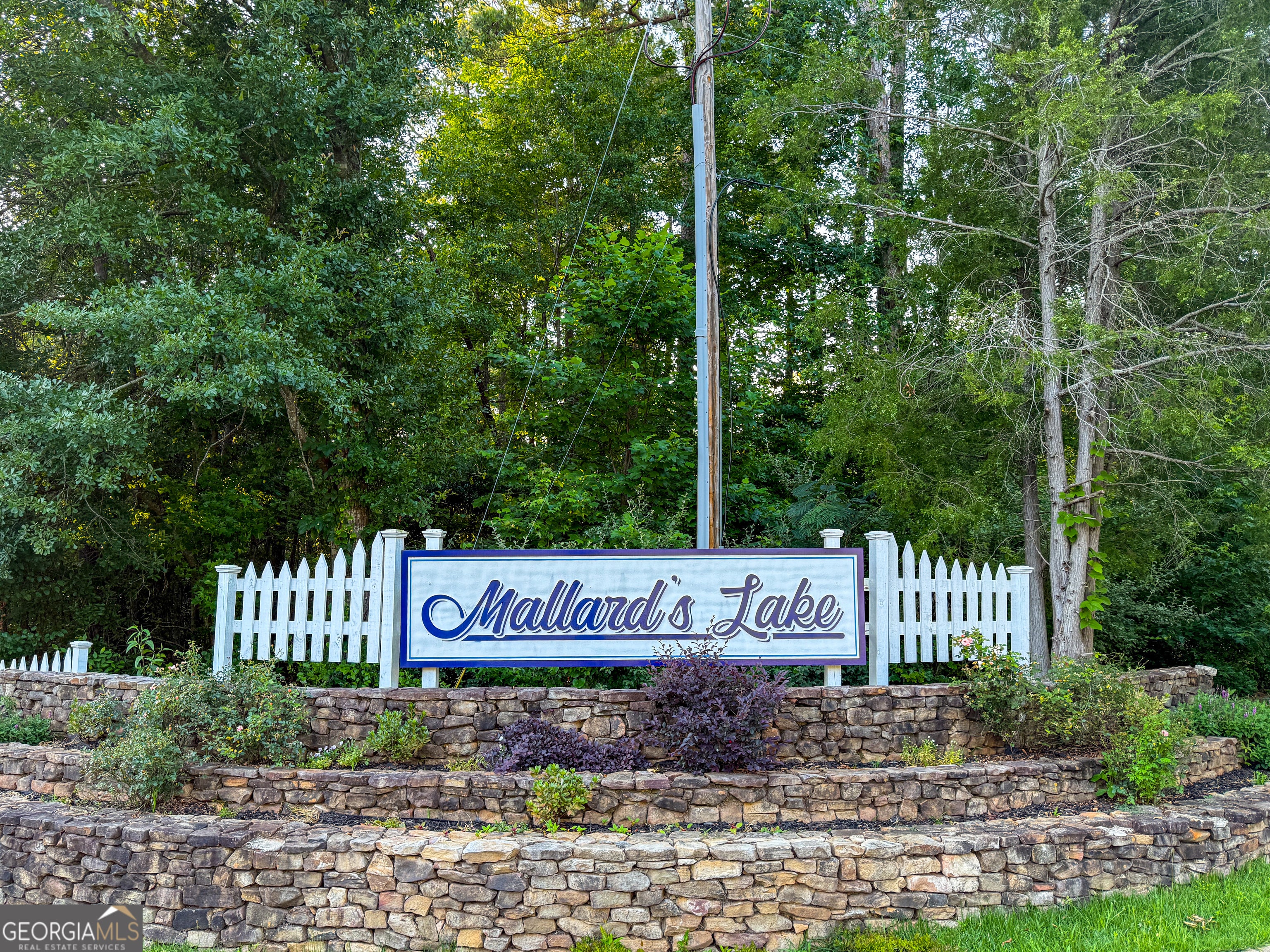 Photo of Listing #10692538