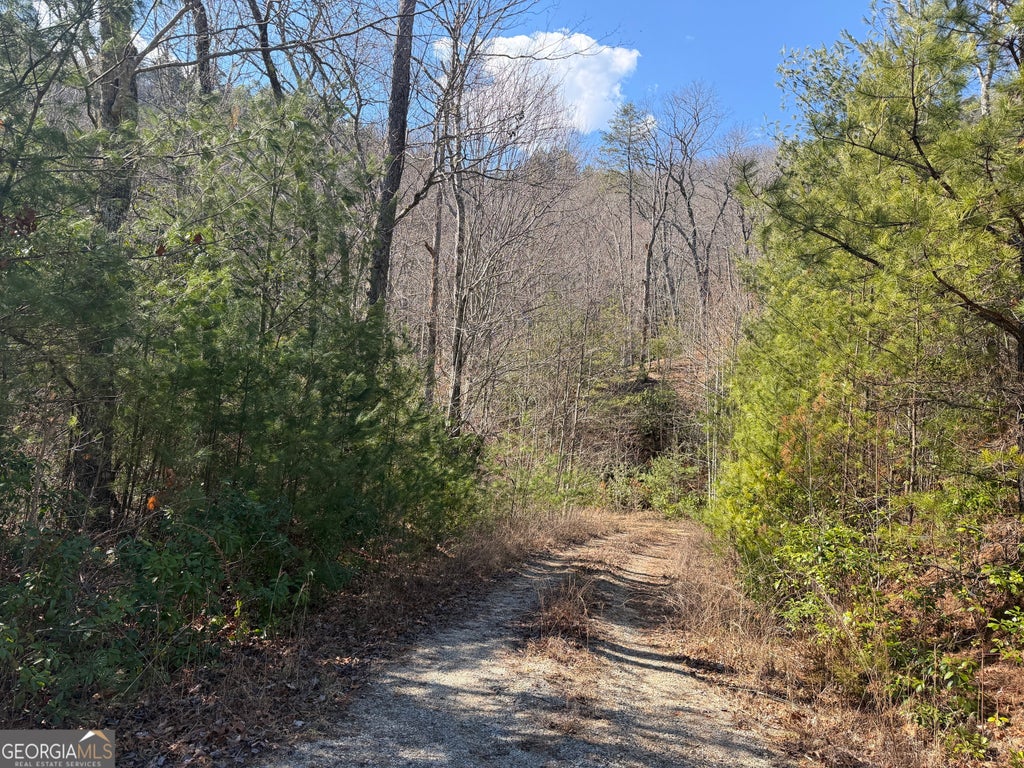 Shadow Mountain Drive 32, Dillard