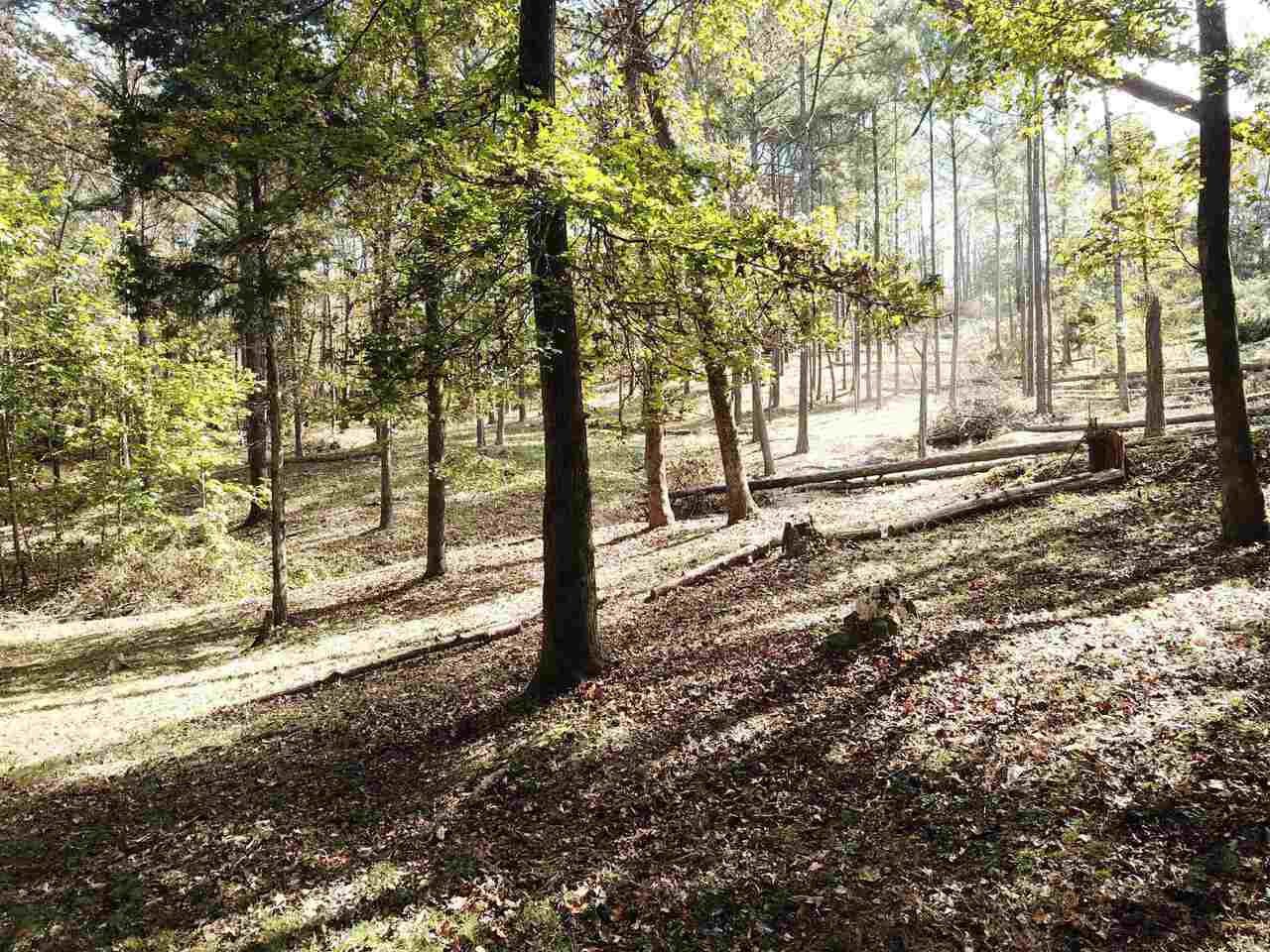 Photo of Listing #10706559