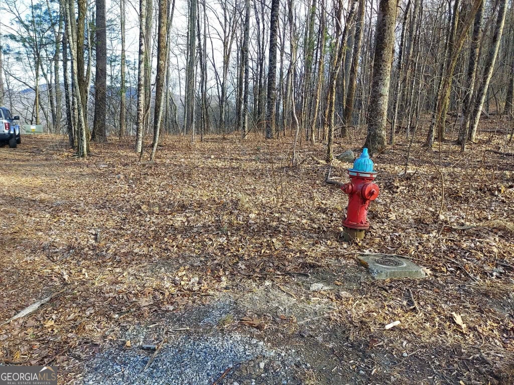 0 Lots 9 & 9a Wild Bird, Sky Valley