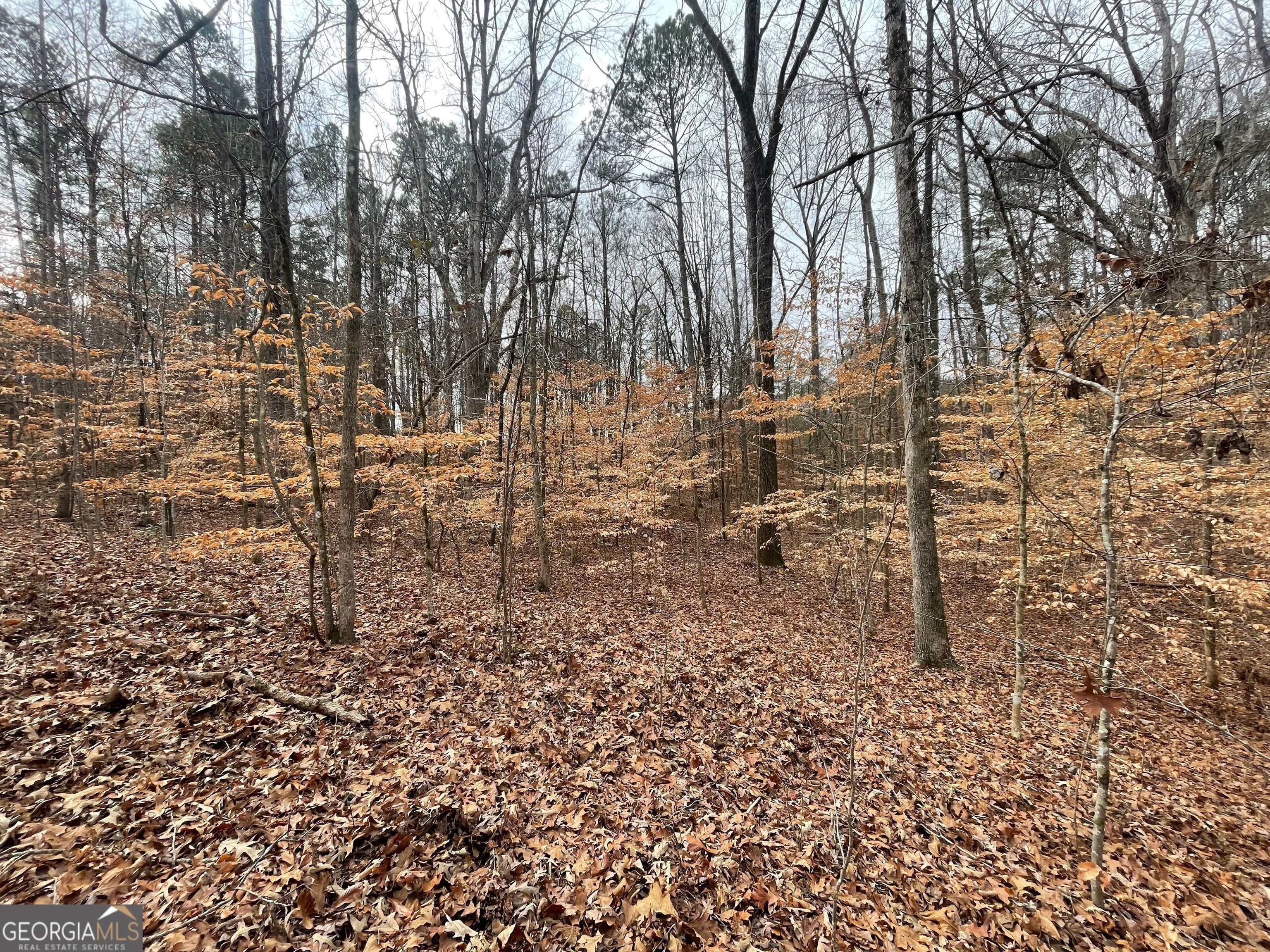 Photo of Listing #10710915