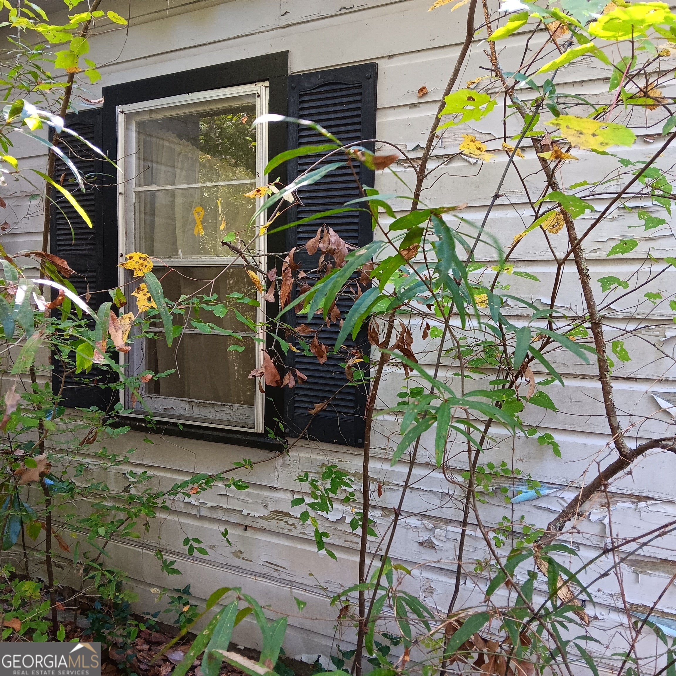 Photo of Listing #10605787