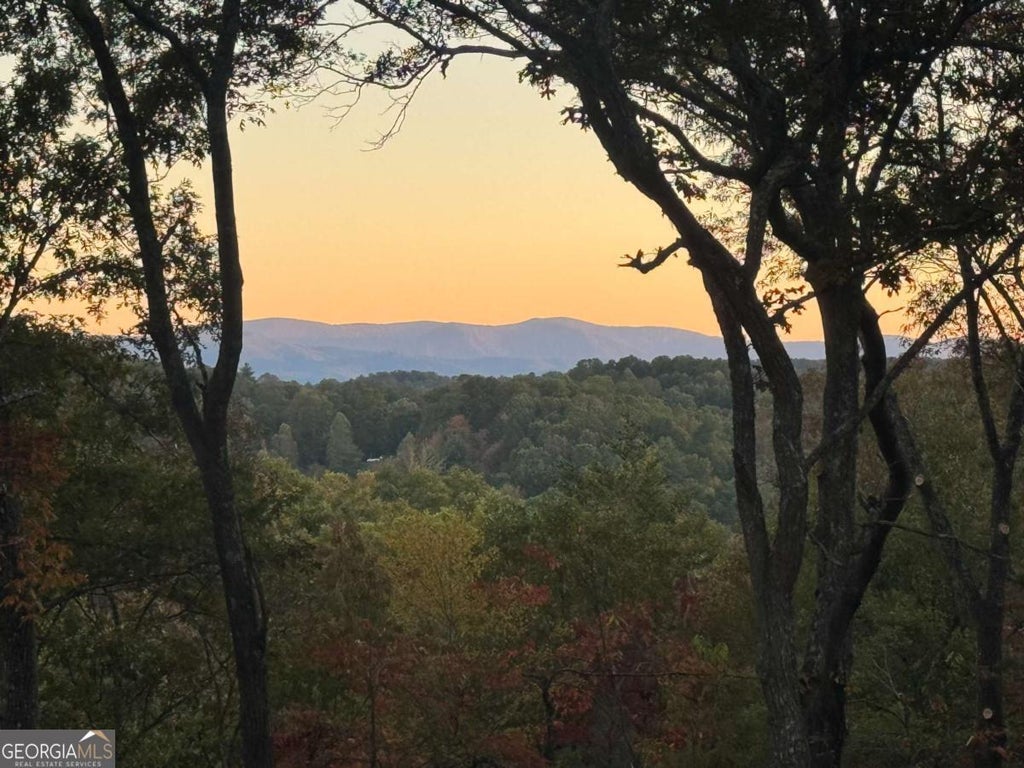 195 Wolf Creek Mountain Road, Mineral Bluff