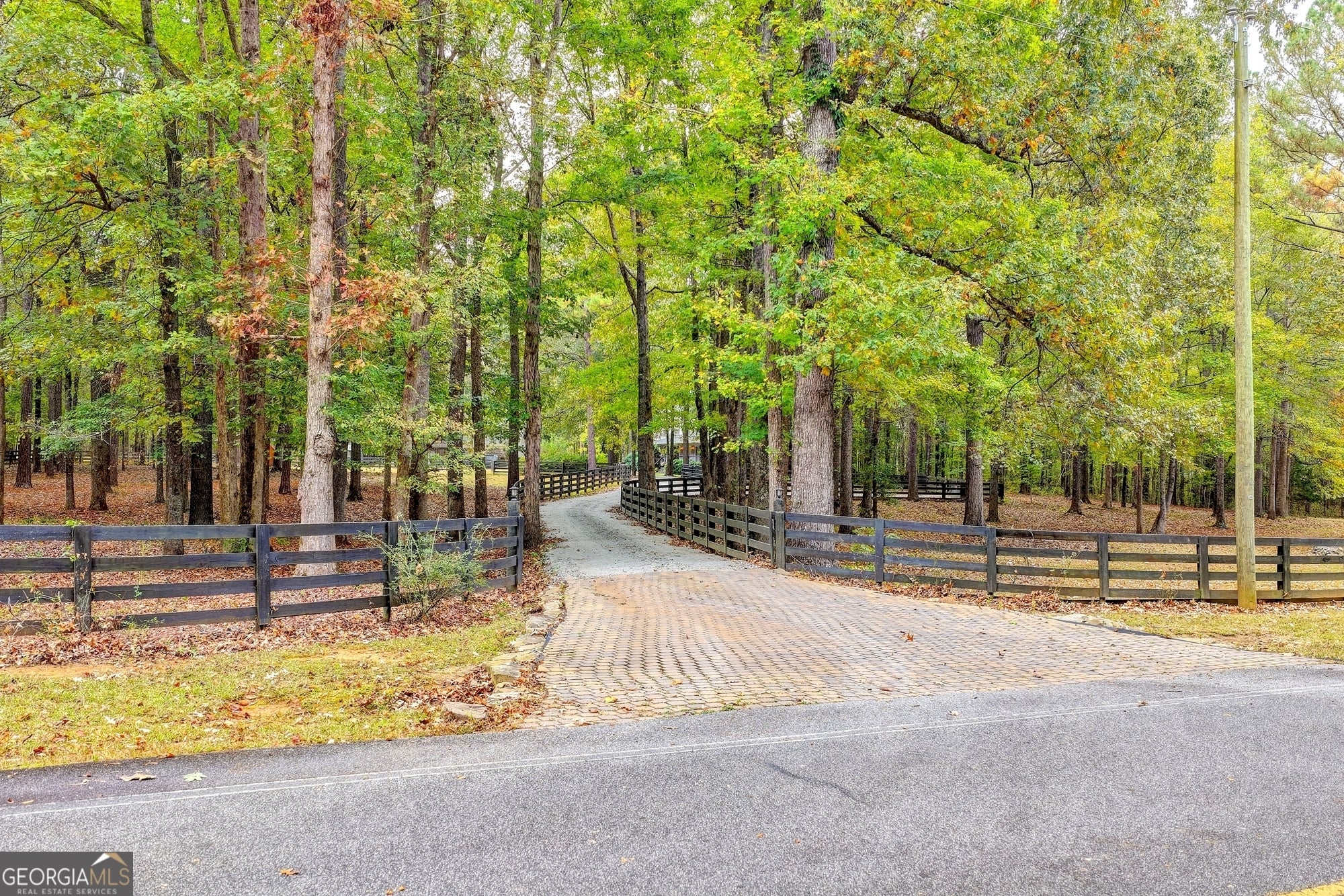 Photo of Listing #10632426