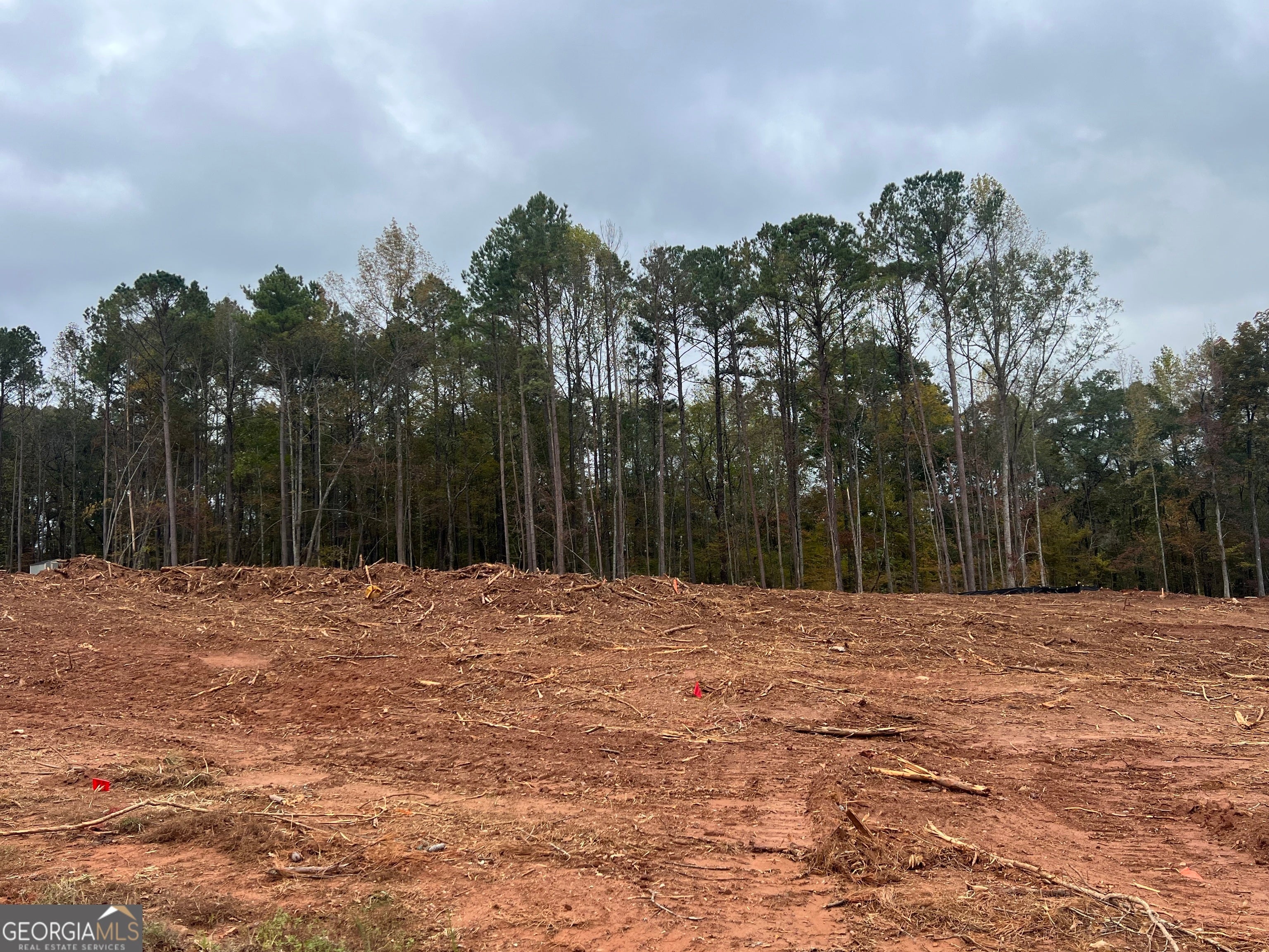 Photo of Listing #10633123