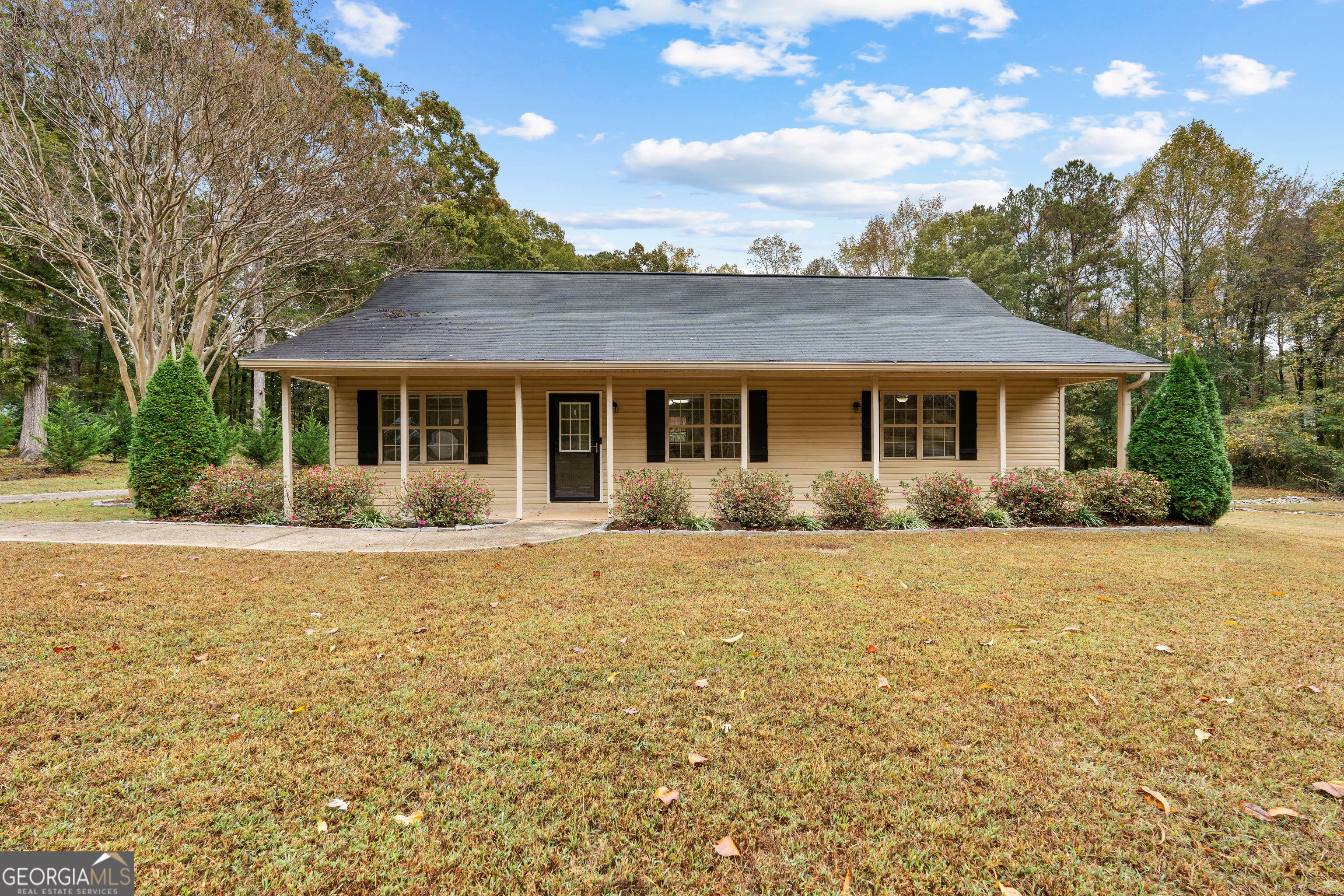 Photo of Listing #10635124