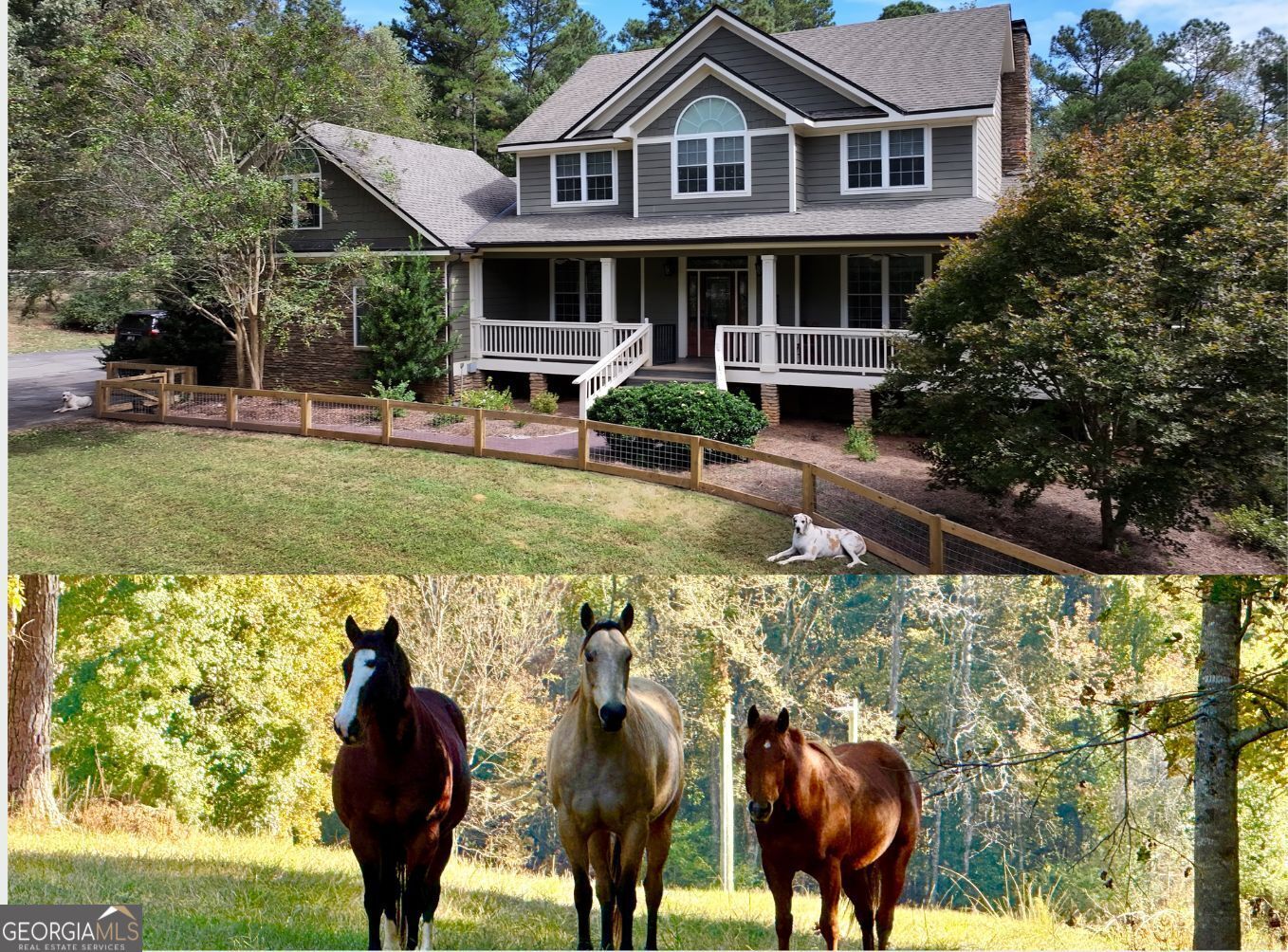 Photo of Listing #10650234