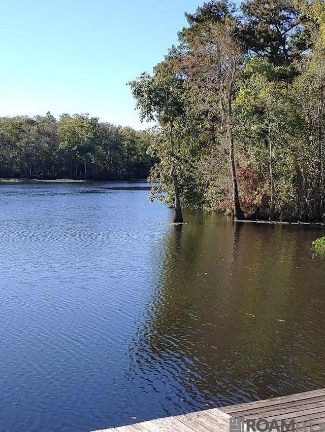 20401 Perrin Ferry Rd, Springfield