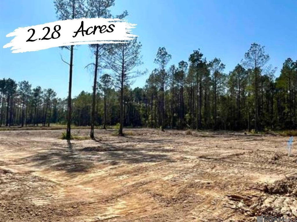 26467 Wagon Wheel Drive, Holden