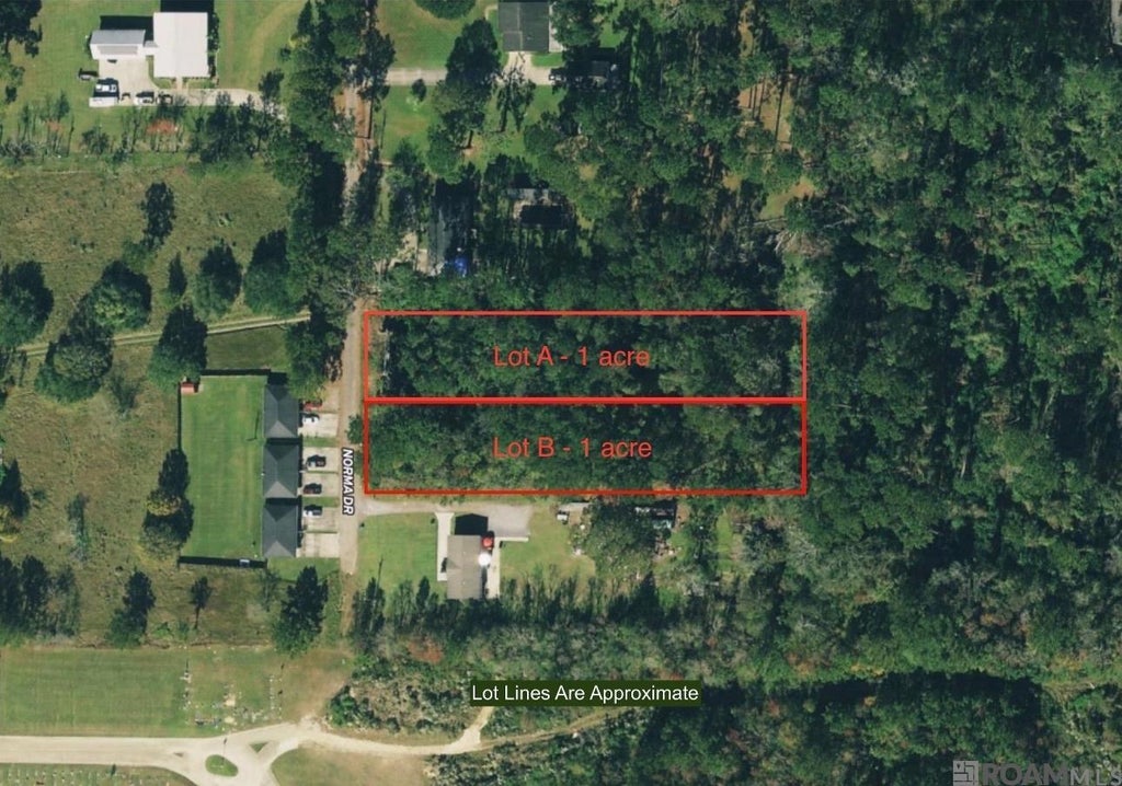 2 Acres Norma Dr, Denham Springs