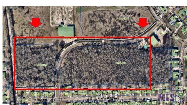 Tbd Silverleaf Ave, Baton Rouge