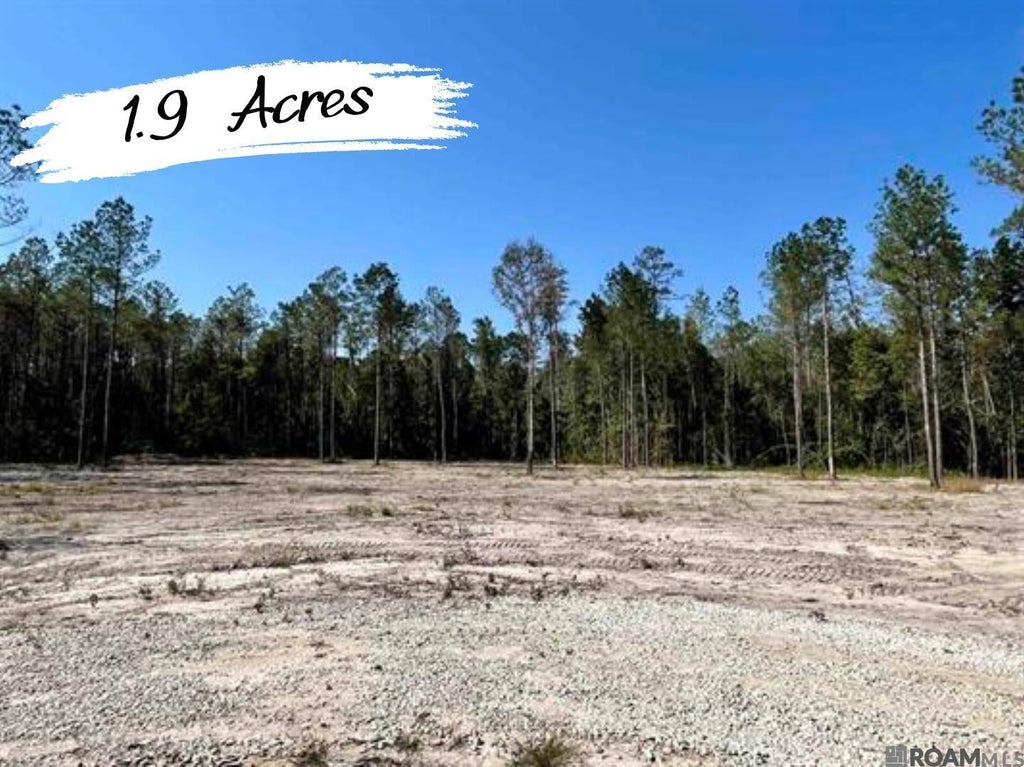 26440 Wagon Wheel Drive, Holden