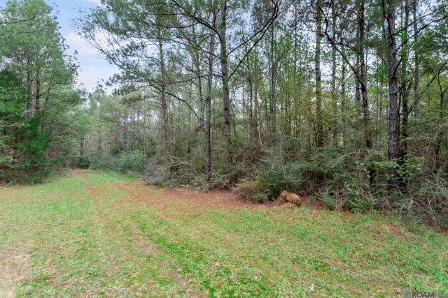 13289 Weaver Rd, St Francisville