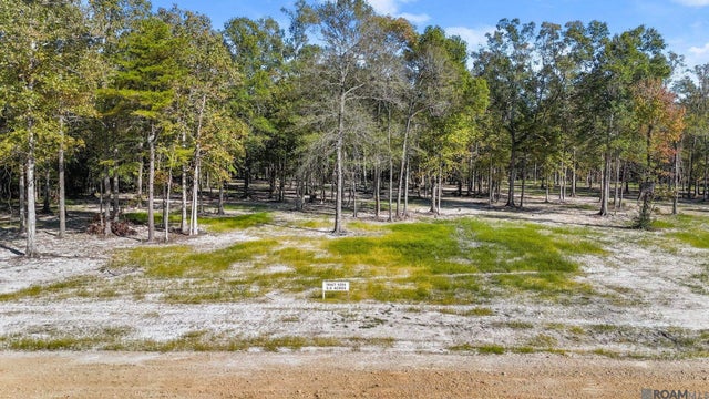 N-2-d-4 Little Azalea Drive, Zachary