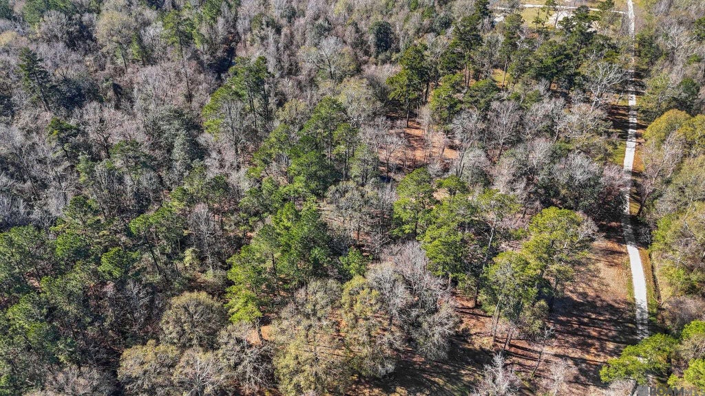 12234 Whitetail Ln, Walker