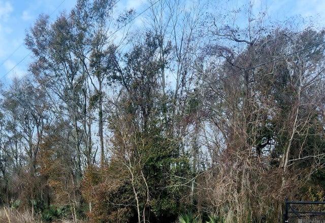 Tbd Denver Hurst Rd, Gonzales