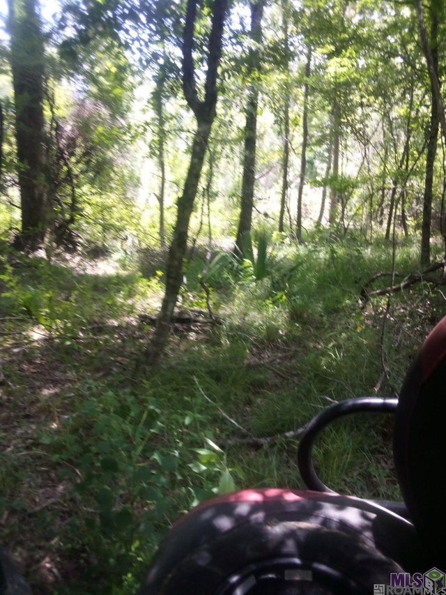 Tbd Kathy's Cv, Walker