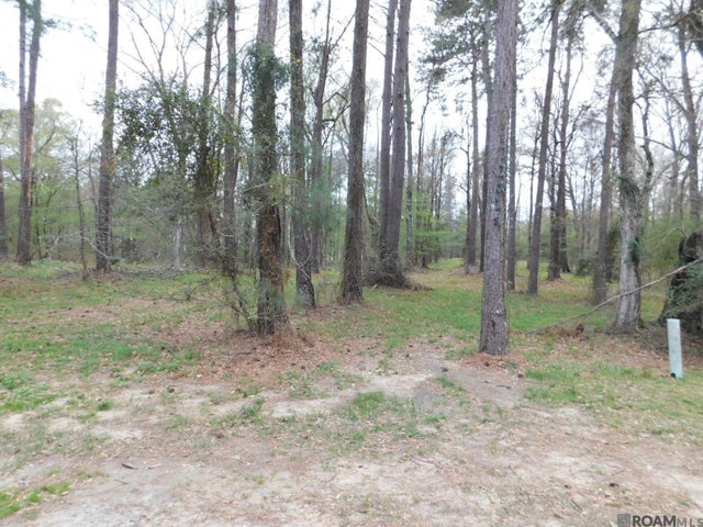 13812 Sweetwoods Hollow Dr, St Francisville