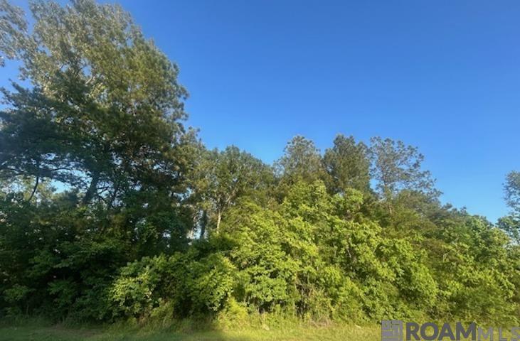 Lot B-4 Perrilloux Rd, Livingston