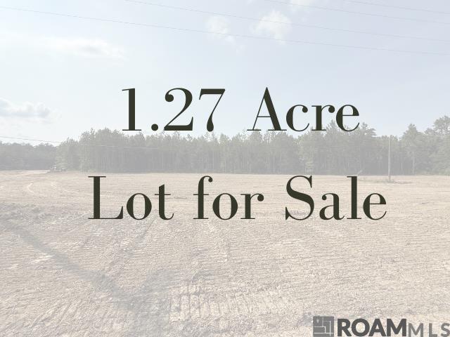 19121 La Hwy 444, Livingston