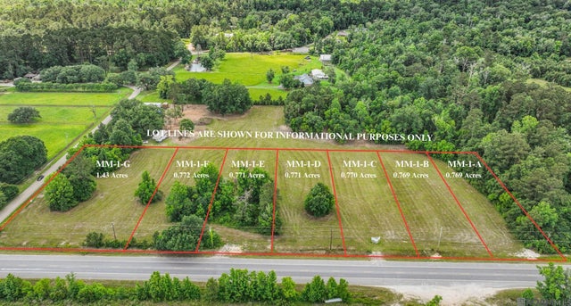 Tract Mm-1-g Florida Blvd, Livingston