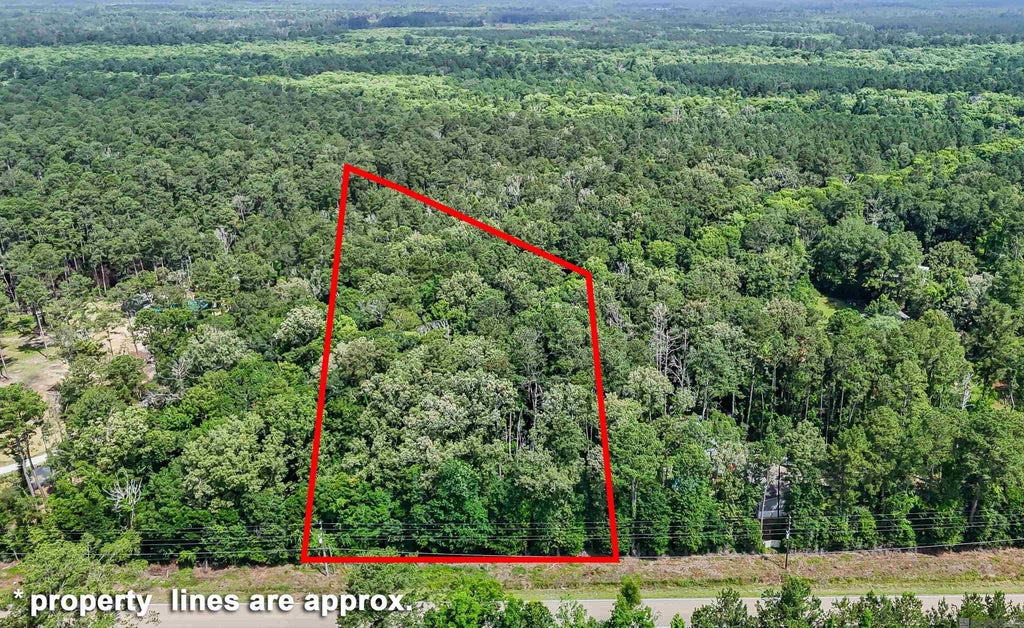 La Hwy 42, Livingston