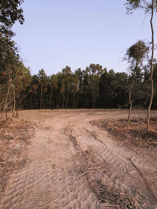 17243 Jack Allen Rd, Livingston