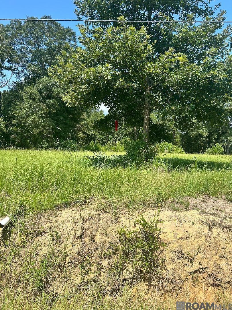 25085 Hall Rd, Greenwell Springs