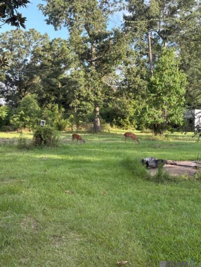 Tbd La Hwy 22, Springfield