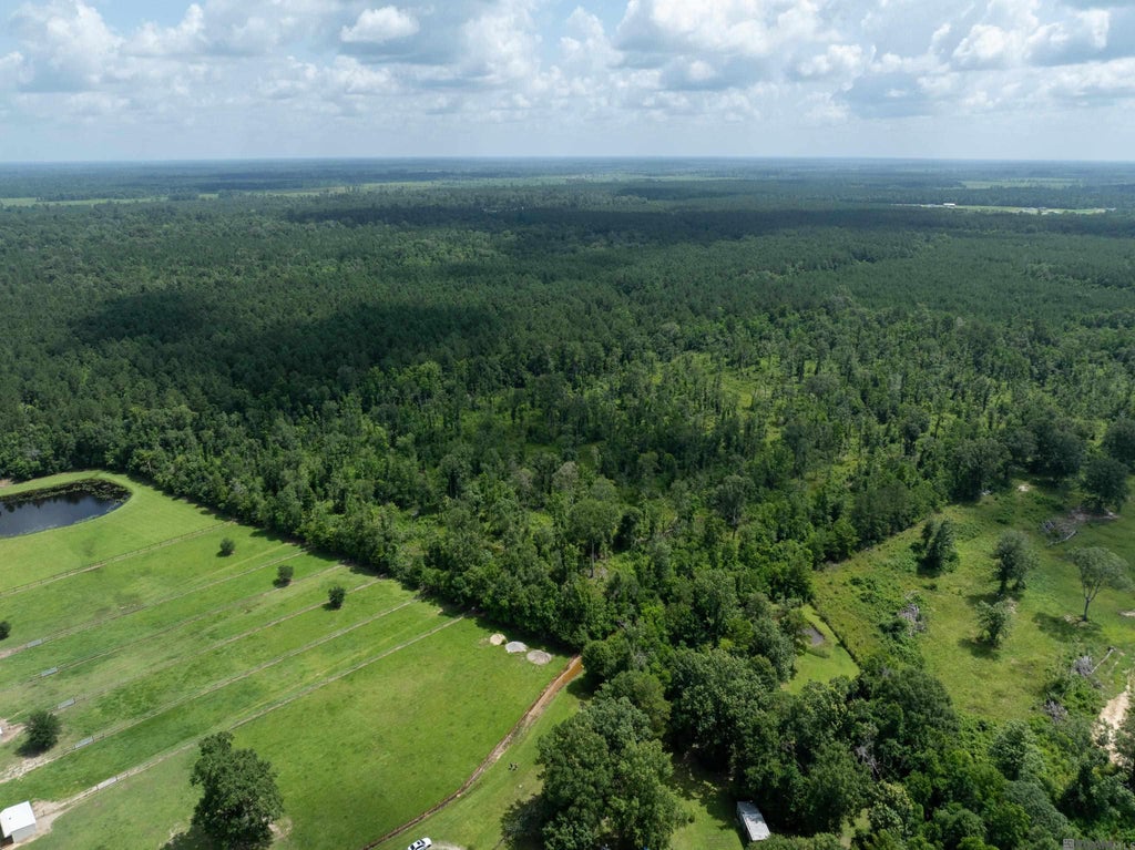 Tbd Lost Oak Ln, Livingston