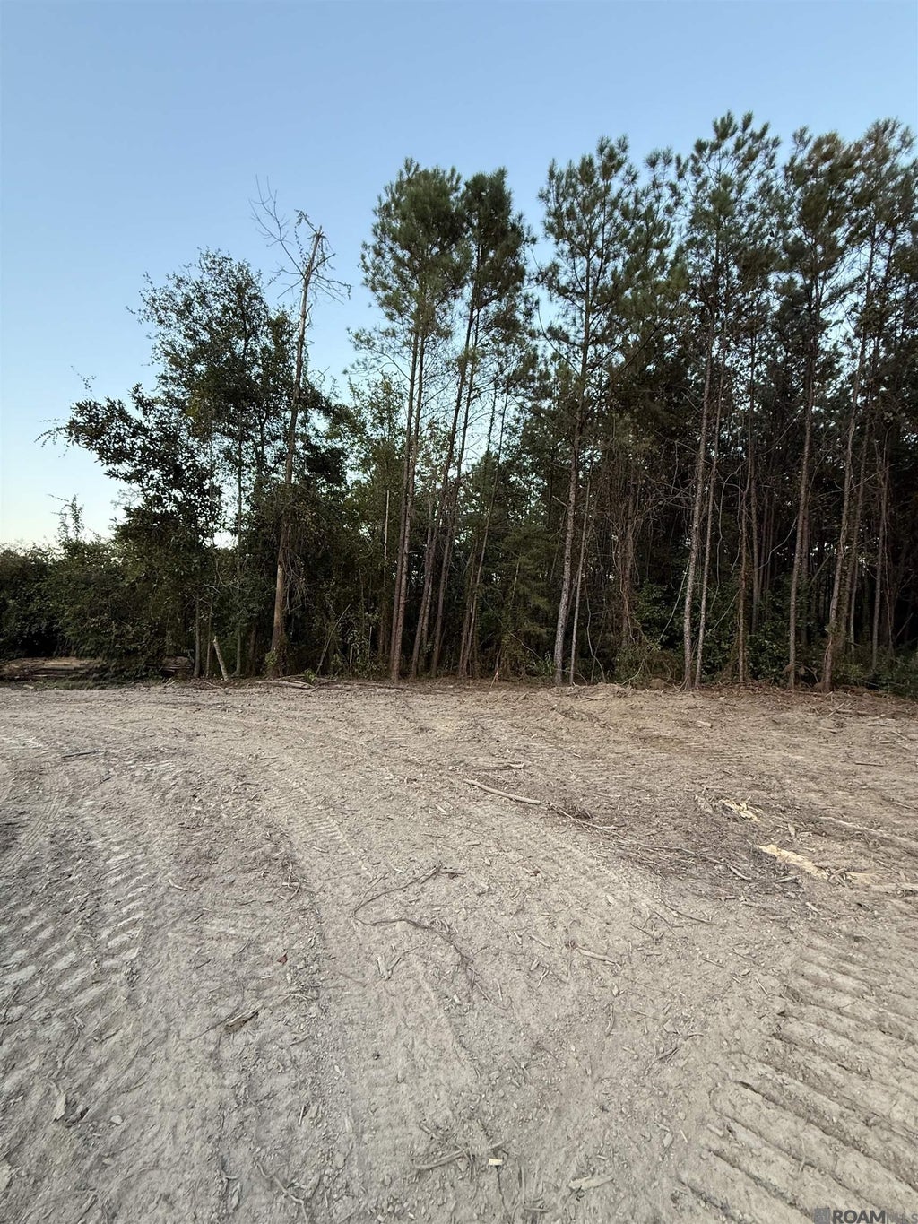 17273 Jack Allen Rd, Livingston