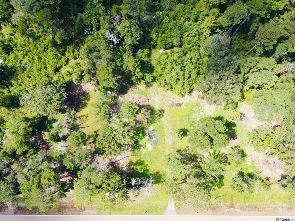 Tbd M-1 La Hwy 1036, Holden