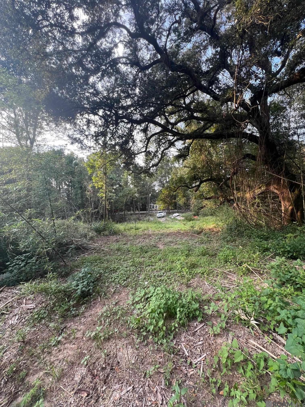 A2a3 Greenwell Springs Rd, Greenwell Springs