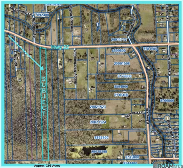 Tbd La Hwy 22, St Amant