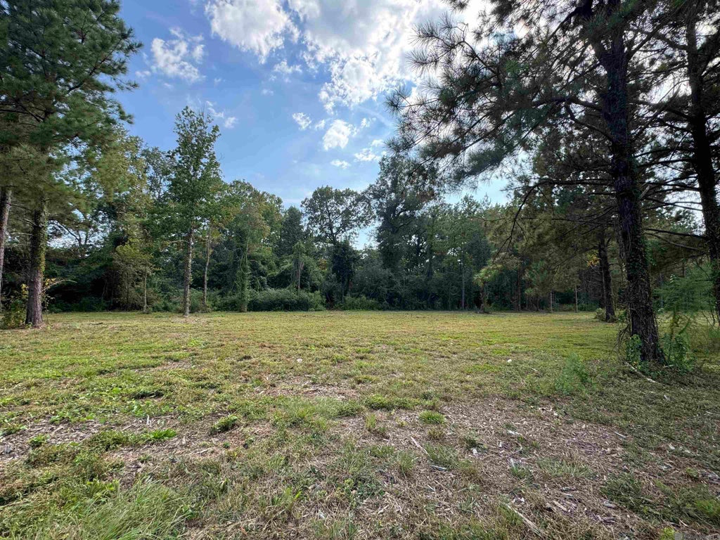 Tract D La Hwy 16, Denham Springs