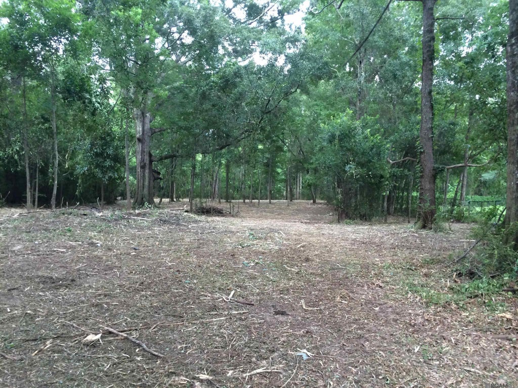 12372 Springfield Rd, Denham Springs