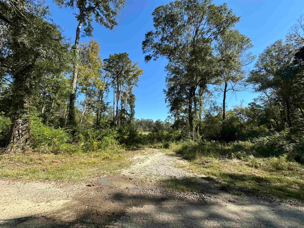 8637 Wildwood Dr, Denham Springs